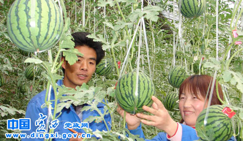 点击查看大图